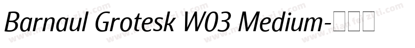 Barnaul Grotesk W03 Medium字体转换